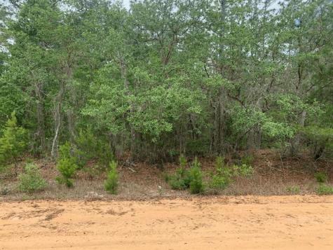 David Avenue Interlachen FL 32148