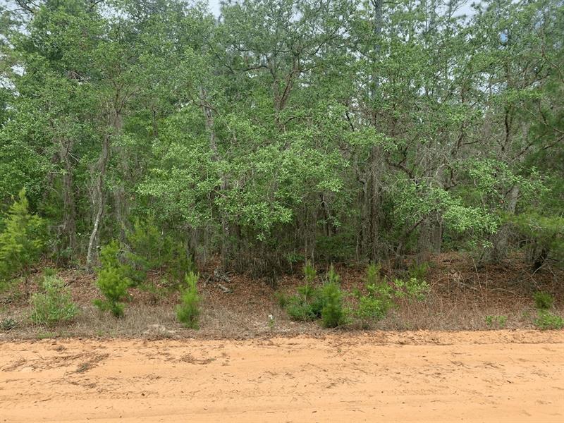 David Avenue Interlachen FL 32148
