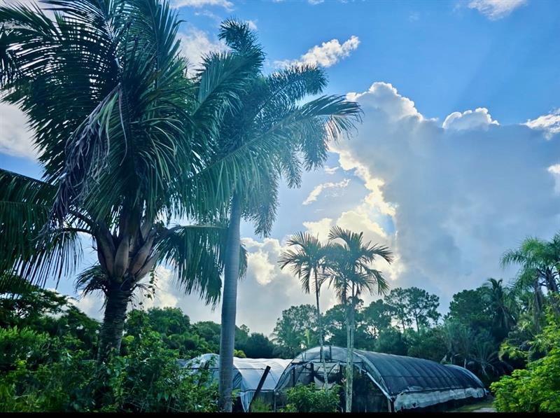 3730 161ST Terrace N Loxahatchee FL 33470