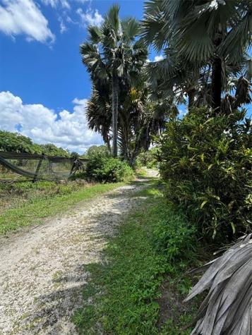 3730 161ST Terrace N Loxahatchee FL 33470