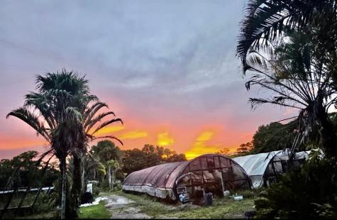 3730 161ST Terrace N Loxahatchee FL 33470