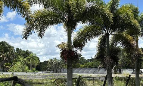 3730 161ST Terrace N Loxahatchee FL 33470