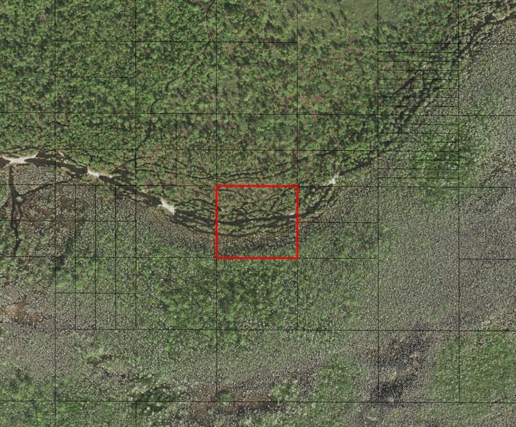 Holopaw Groves Road St. Cloud FL 34772