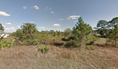 1127 Cove Street Lehigh Acres FL 33974