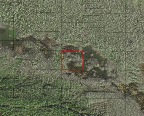 Holopaw Groves Road St. Cloud FL 34772