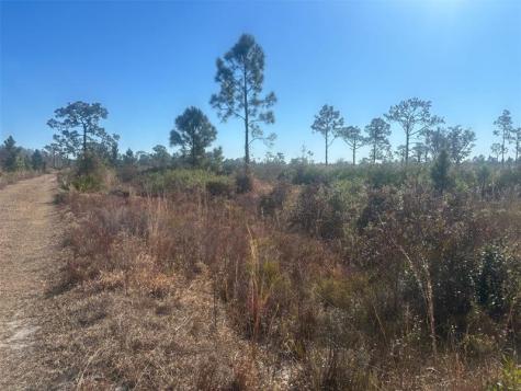 Xeriscape Nursery Road Frostproof FL 33898