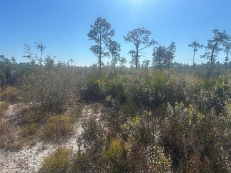 Xeriscape Nursery Road Frostproof FL 33898