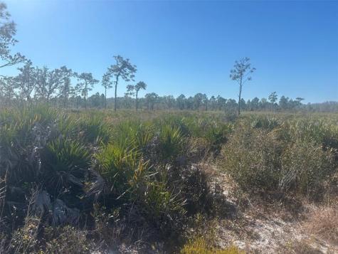 Xeriscape Nursery Road Frostproof FL 33898