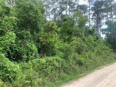 Coot Drive Satsuma FL 32189