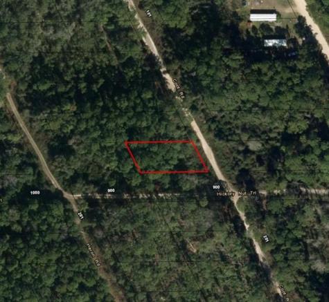 Coot Drive Satsuma FL 32189