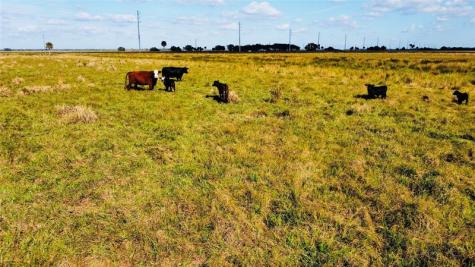 HWY 441N Highway 441 Okeechobee FL 34972
