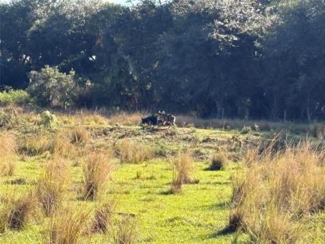 HWY 441N Highway 441 Okeechobee FL 34972
