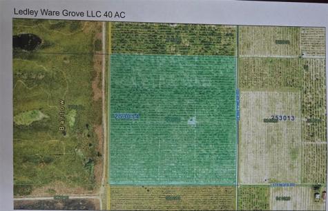 CITRUS Grove atLedleyWare Citrus Grove Ledleyware Road Bartow FL 33830