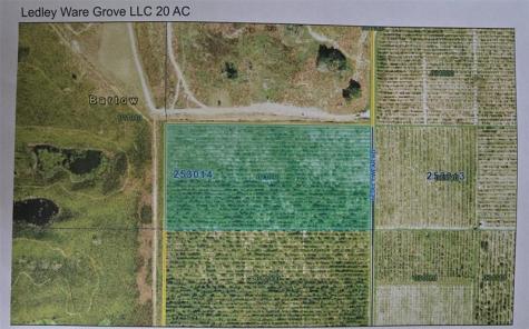 CITRUS Grove atLedleyWare Citrus Grove Ledleyware Road Bartow FL 33830