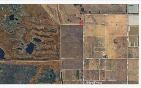 CITRUS Grove atLedleyWare Citrus Grove Ledleyware Road Bartow FL 33830
