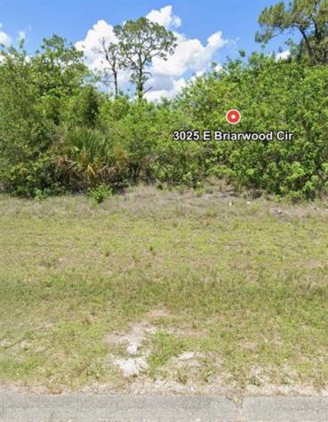 3025 E Briarwood Circle LaBelle FL 33935