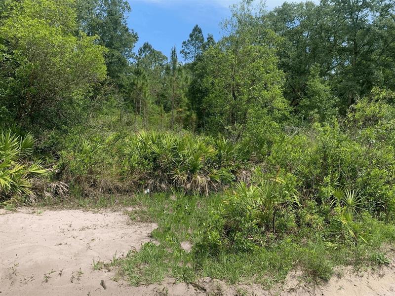 County Road 54 E Kathleen FL 33849
