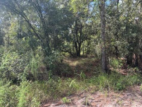 County Road 54 E Kathleen FL 33849
