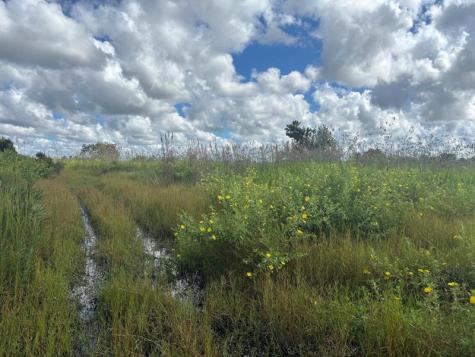 NW 316th Street Okeechobee FL 34972
