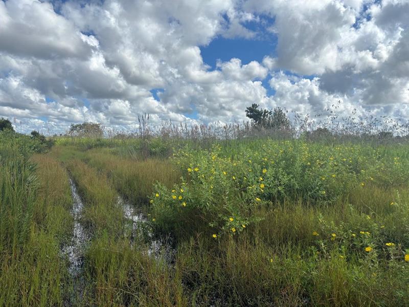 NW 316th Street Okeechobee FL 34972