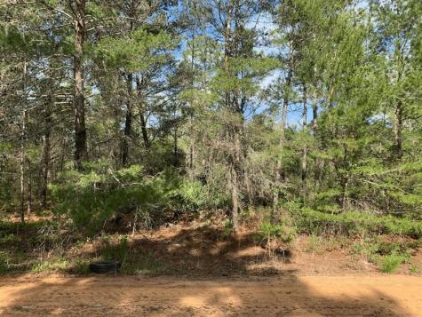 Louise Avenue Interlachen FL 32148