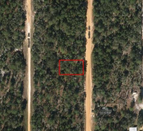 Louise Avenue Interlachen FL 32148