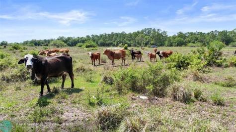 2777 Everhigh Acres Road Clewiston FL 33440