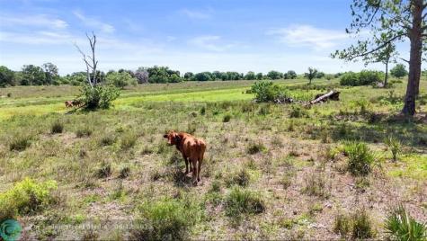 2777 Everhigh Acres Road Clewiston FL 33440