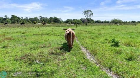 2777 Everhigh Acres Road Clewiston FL 33440