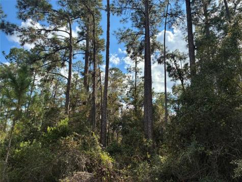 Lot 15 Park Avenue Indian Lake Estates FL 33855