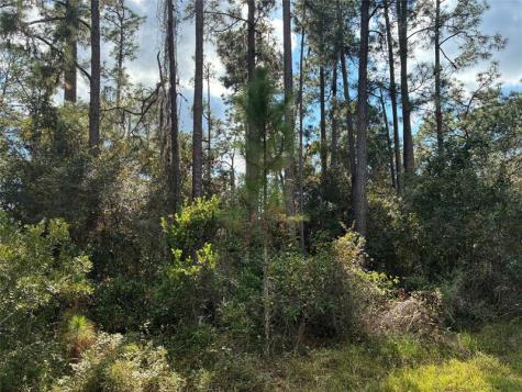 Lot 15 Park Avenue Indian Lake Estates FL 33855