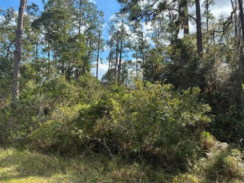 Lot 15 Park Avenue Indian Lake Estates FL 33855