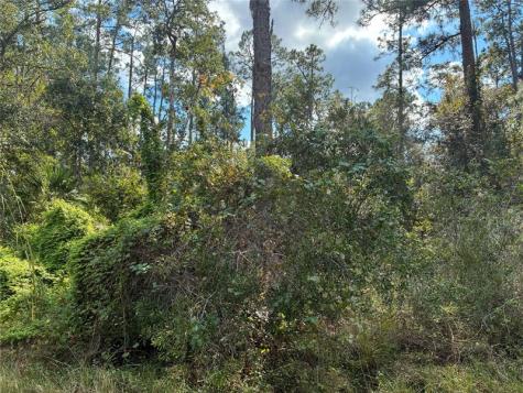 Lot 15 Park Avenue Indian Lake Estates FL 33855