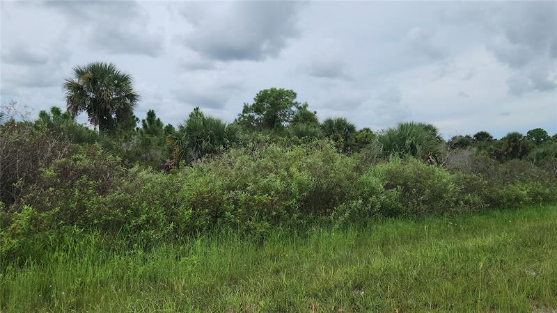 14988 NW 316th Street Okeechobee FL 34972