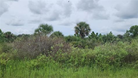 14988 NW 316th Street Okeechobee FL 34972