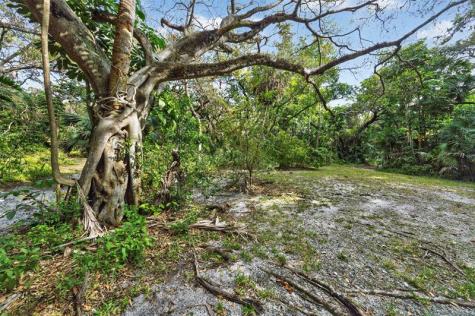 1711 SW 30th Place Fort Lauderdale FL 33315