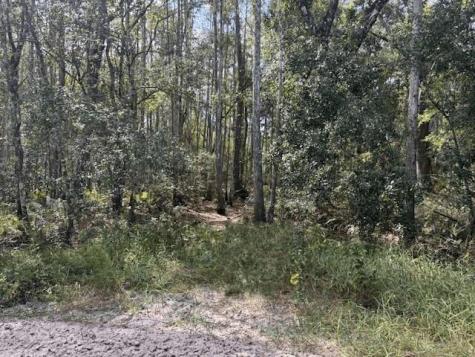 County Road 54 E Kathleen FL 33849