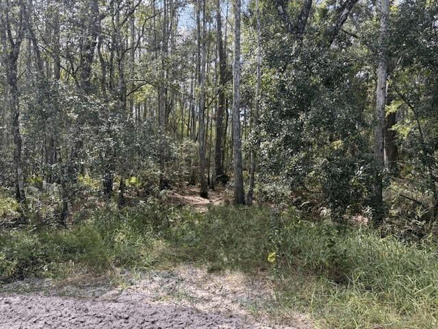 County Road 54 E Kathleen FL 33849