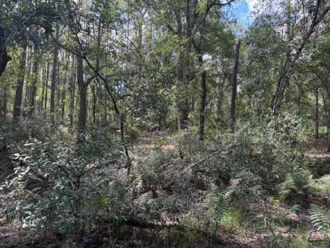 County Road 54 E Kathleen FL 33849