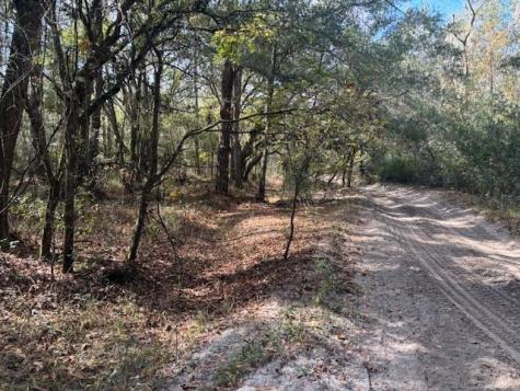 County Road 54 E Kathleen FL 33849