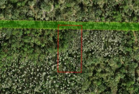 County Road 54 E Kathleen FL 33849