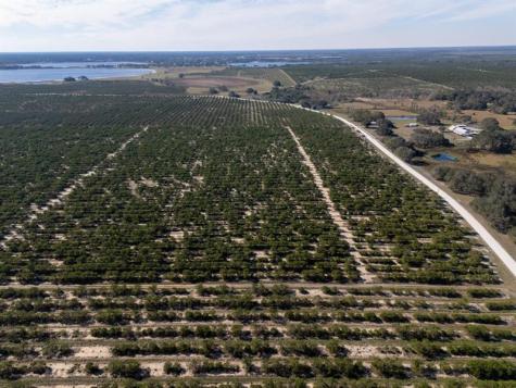 3073 Cr 627 Avon Park FL 33825