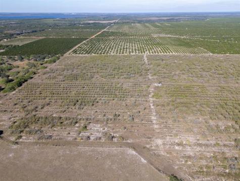 3073 Cr 627 Avon Park FL 33825