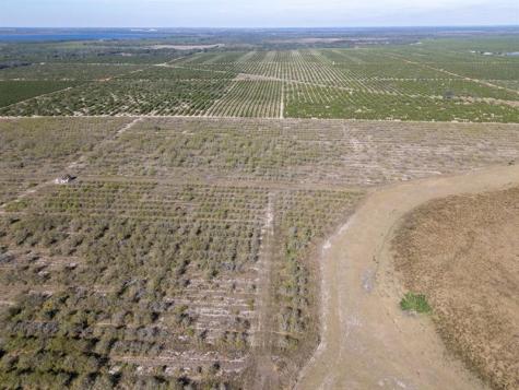 3073 Cr 627 Avon Park FL 33825
