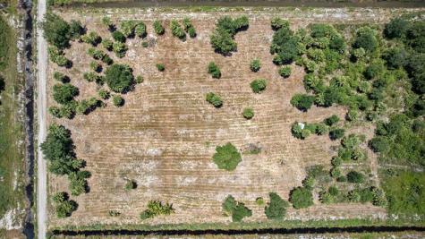 xx Bedu Court Loxahatchee FL 33470
