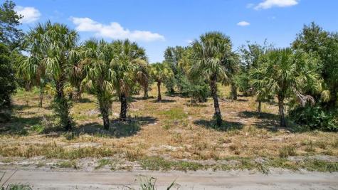 xx Bedu Court Loxahatchee FL 33470