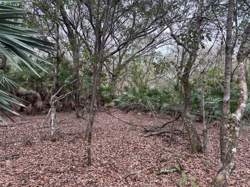 Old Grade Road Other City - In The State Of Florida FL 33868