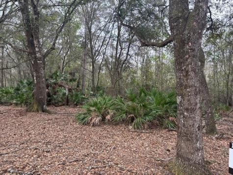 Old Grade Road Other City - In The State Of Florida FL 33868
