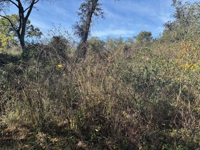 County Road 54 E Kathleen FL 33849
