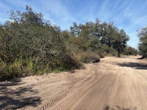County Road 54 E Kathleen FL 33849